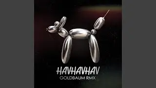 HAVHAVHAV (Radio Edit)