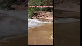 Sasquatch vocalizing #mystery #creature #usa #creepypasta #utah #sasquatch_01 #Paranormal#Cryptid#??