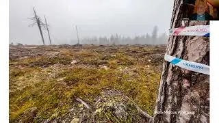 Skogswebinar #4 - Erik Westholm - Skogsbruket i kris och förändring!