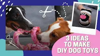 3 Easy and Cheap DIY Dog Toys || Made From Socks & Old Clothes