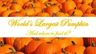 World's Largest Pumpkin and where to find it? - Travel Stories by Yours Lovingly, Pavi #travelvlog