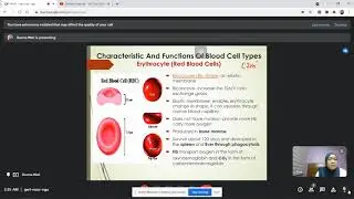 Chapter 10 2 Ciculatory System Of Human