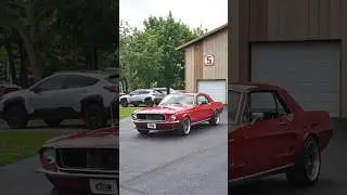 1967 Ford Mustang For Sale | Volo Museum V21756