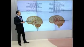 Saiba as causas da convulsão e epilepsia.