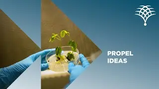Future Forward | Propel Ideas
