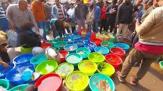 Fish Market | Galiff Street Fish Market Kolkata | Cheapest price | Recent Aquarium Fish Price Update