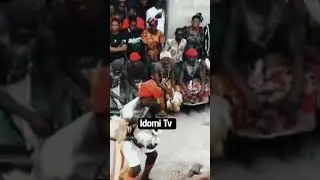 Idomi culture is super interesting! 😍