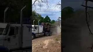 #automobile #truck #gadigame #car #vocalcontrol #excavator #cargameandbusgame #carhire #cargametv