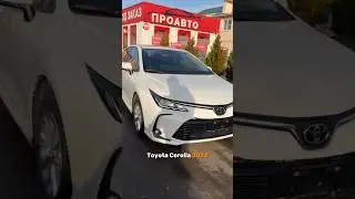I got a Toyota Corolla from China! The price will surprise you. More cars on my Telegram channel....