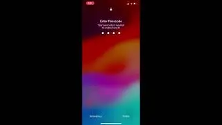 Cellular data not working iPhone 13, Fix it