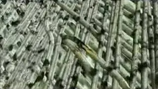 Biofuels: Beyond Ethanol | KQED QUEST
