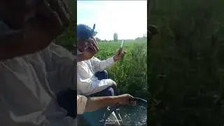 Flood in our Village a lot of damage to crops no government support for such loss or damage