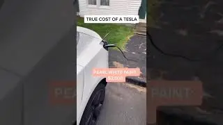 Tesla true cost 🔥🤩 || #tesla #teslalgy #shorts