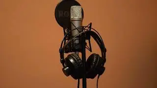 Sting - Fragile (vocals solo)