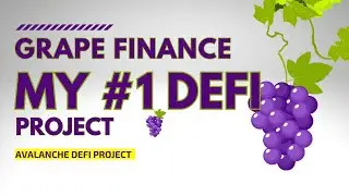 Grape Finance | My top defi project during market downturn