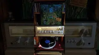 T.2.- It'll all work out in Boomland.🌟🌟