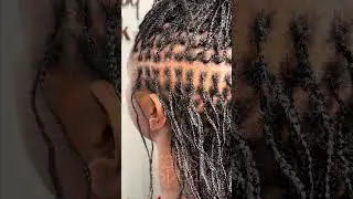 Belle Microlocs Braids (Extensions Added)