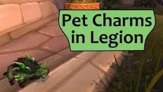 Pet Charms in Legion