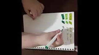 Another Copic Dupe?? Mont Marte Dual Tip Art Marker review