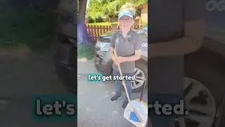 How Poopless Yards Works: Your Guide to a Clean, Pet-Safe Yard!