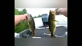 Newboro Lake Bass Fishing Tournament Shootout Fishing League