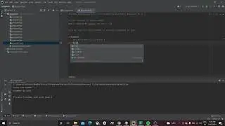 Check if a Number is Positive, Negative or 0 in python