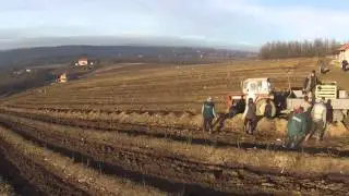 Kosmajska borovnica - Rogača (decembar 2015) 2 deo