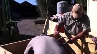 New Zealand delivery of taxidermy heads