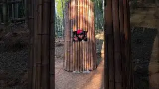 Korea&rsquo;s 🇰🇷 biggest bamboo park🎋 #rizinkorea  #kpop #kdrama #kbeauty  #shorts #short #shortvideo