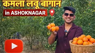 এবার অশোকনগরে তৈরি হয়ে গেল কমলালেবুর বাগান 😱🔥!! #viral #viralvideos #minivlog #vloging #ashokenagar