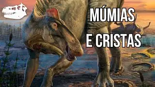 O que MÚMIAS de DINOSSAUROS podem nos dizer sobre suas CRISTAS | feat. @heitoresco | Corte da Live