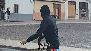 Tarde del Saliner en el Puig 10 de octubre de 2025 