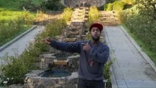 The Rose