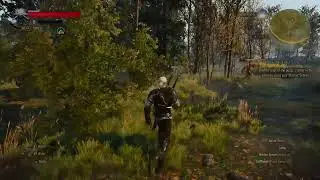 The Witcher 3 - Wild Hunt GOTY Edition Playthrough (22-10-2025)