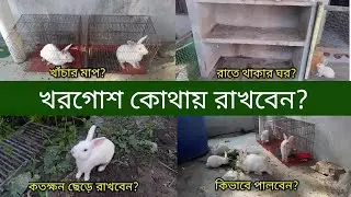 খরগোশ পালন বাসস্থান ও খাঁচার মাপ | খাঁচায় খরগোশ পালন পদ্ধতি | খরগোশের খাঁচার সাইজ | Rabbit rearing