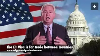 E Visa 101