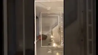Cleaning the fridge #fridge #fridgecleaning #fridgecleanout #fridgeorganization #k&uuml;hlschrank #clean
