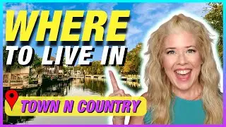 Where Should I live in Tampa Florida - Town N Country
