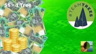 How Can You Donate Your Money Towards The Environment? ($1 = 1 Tree)