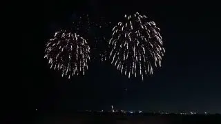 ফিরে এলাম ✈️ California | Chicago to San Francisco Southeast Airlines | Chicago Fireworks Inside!