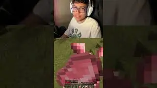 Enderdragon in overworld 😱#minecraft #gaming #bakshh #trending