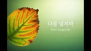 나를 잊지마 (Don’t Forget Me)