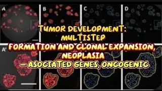 Tumor Development: MultistepFormation and Clonal Expansion, Neoplasia &ndash; Asociated Genes, Oncogenic