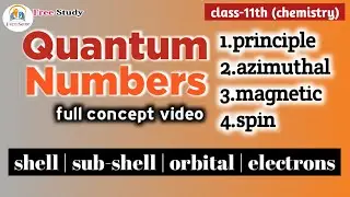 quantum numbers class 11 chemistry | quantum numbers in hindi