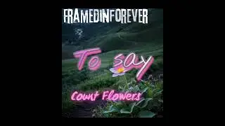 framed In Forever - Count Flowers *lyrics Video*