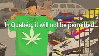 Jodie's Joint Dumbest Laws#1