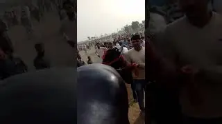 Sbse jyada price wala Heera bull