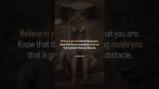 Always Believe in Yourself. wolf quotes | awolfquote | wolf  | #awolfquote #wolf #quotes