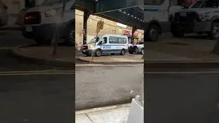 #nypd raid smoke shop in Brooklyn  #eastnewyork #highlandpark #jtrain #norwood #brooklyn #pigs