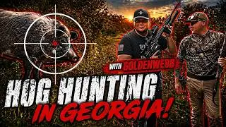 Hog Hunting In Georgia With The Boys (ft. GoldenWebb)
